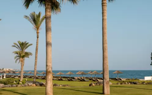 Luxury Bungalow Garden Front Row, Palm Trees Luxury Bungalow Garden Front Row, Palm Trees